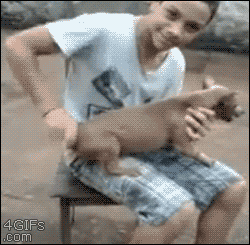 Gifs