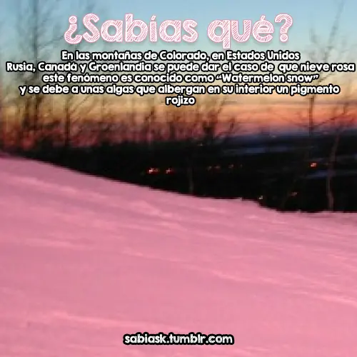 Curiosidades varias
