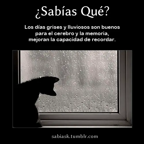 historia