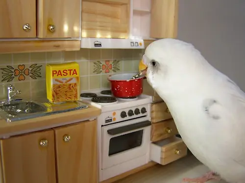 hambre