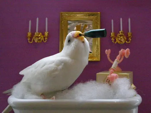 hambre