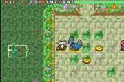 rescate