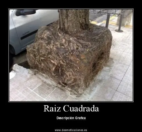 Función cuadrática