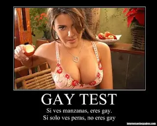 el viejo test del gay