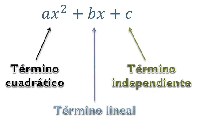 Función cuadrática