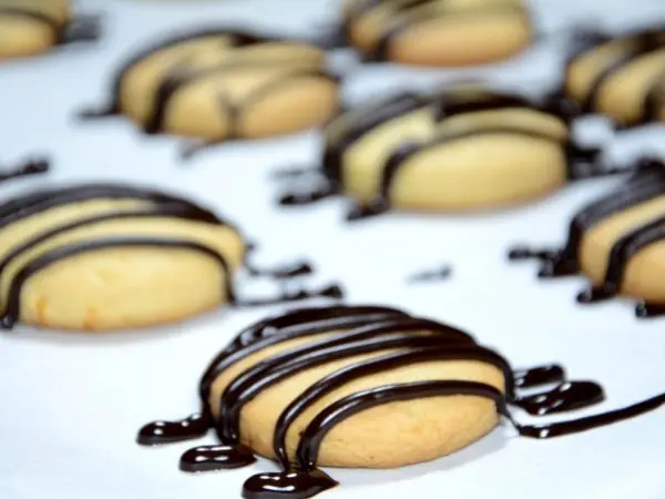 +5 galletas de naranja con chocolate