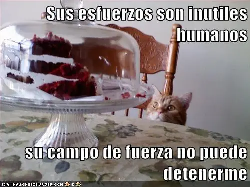 lolcats