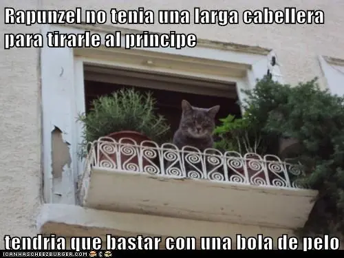 lolcats