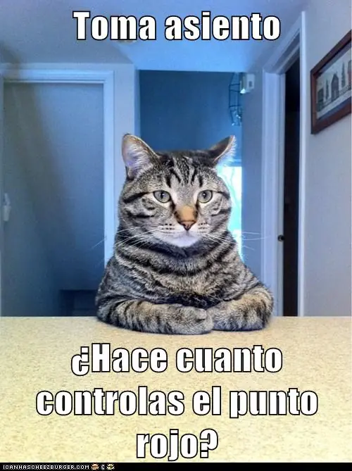 Lolcats #12