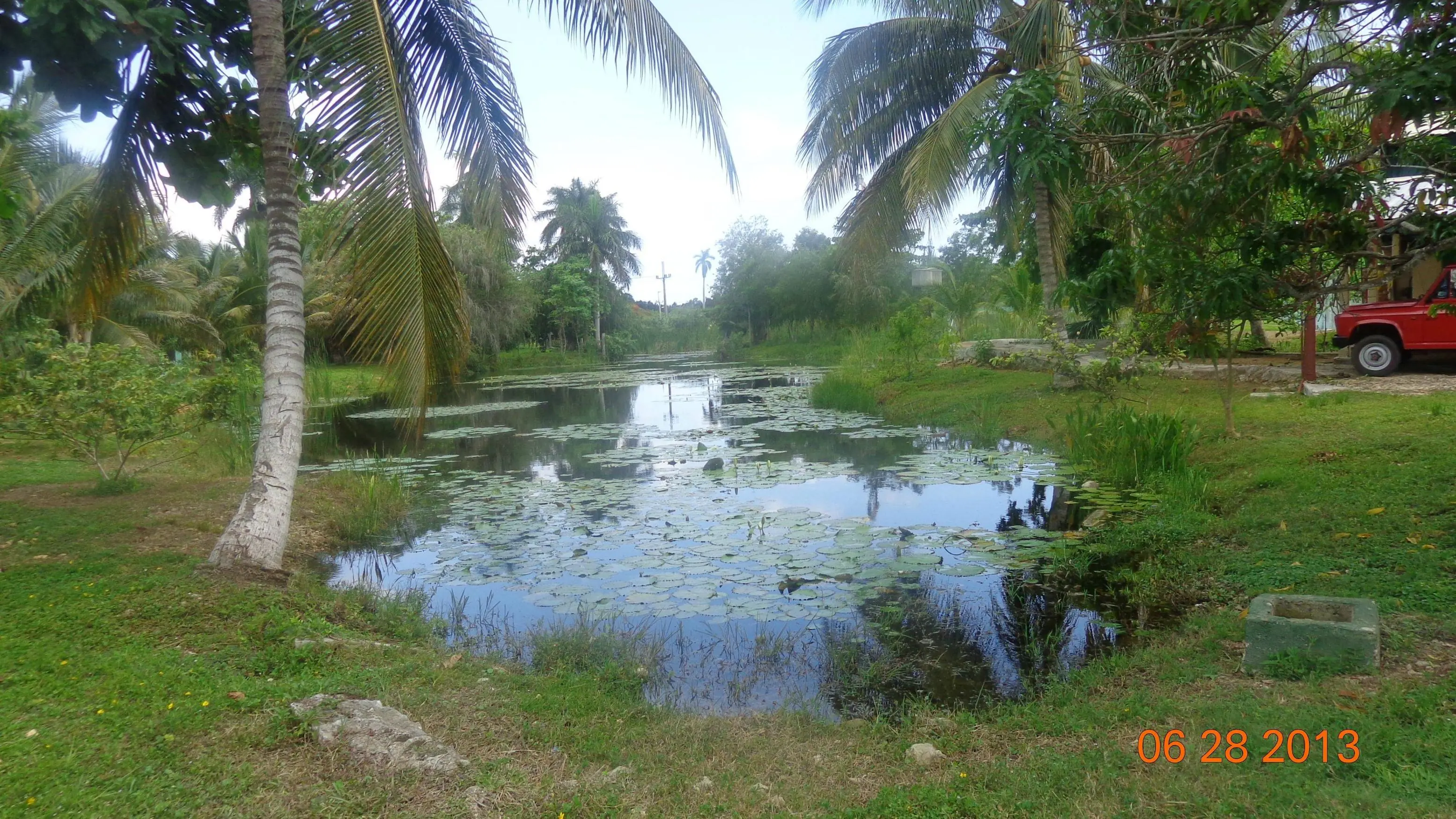 Fui a la reserva de cocodrilos en Cuba