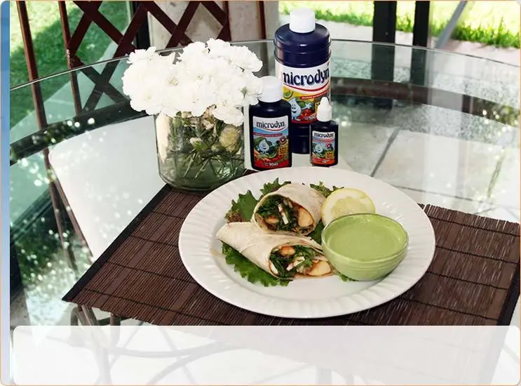 Wrap de pollo con vegetales