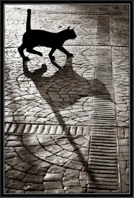 sombras