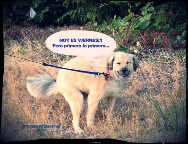 humor por un rato prt 3