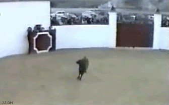 Animales
