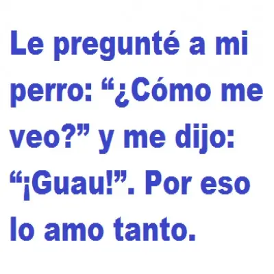 revistas