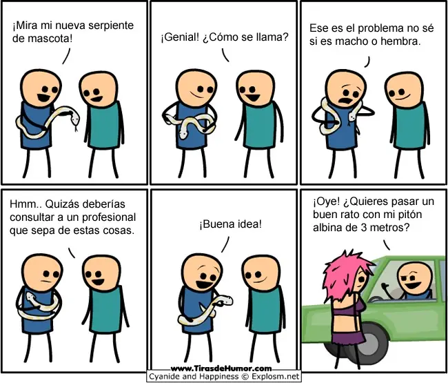 imagenes