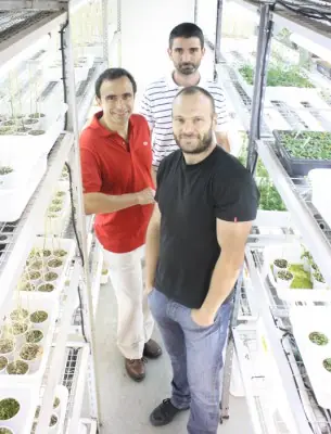ciencia