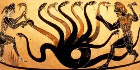 celula
