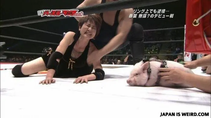 japoneses raros