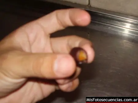 aceituna