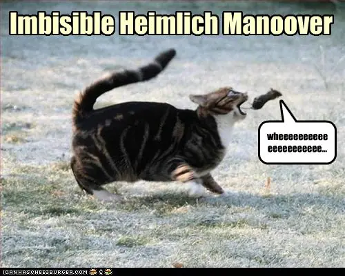 fails