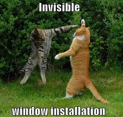 humor