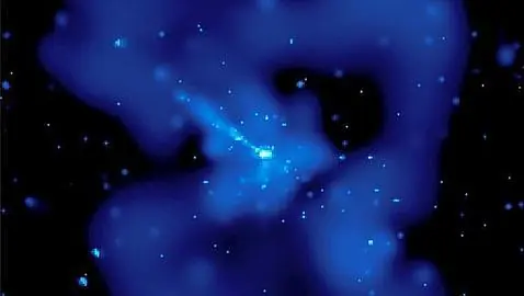 cosmos