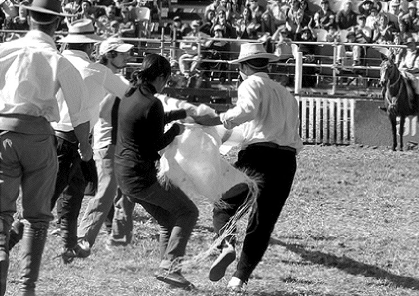 caballos