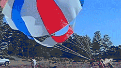 Gifs