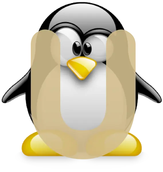 Comandos básicos para configuración de red en Ubuntu