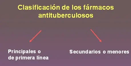 ciencia