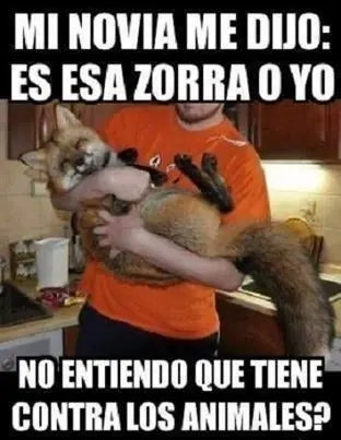 humor