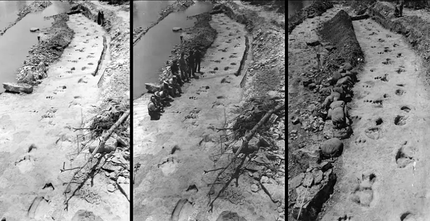 Reconstruyen una persecución entre dinosaurios