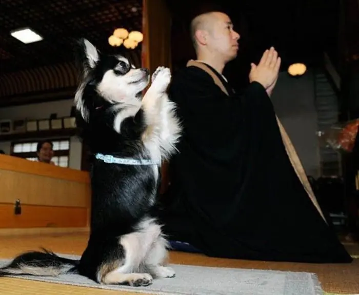 Solo pasa en donde?... En Japón