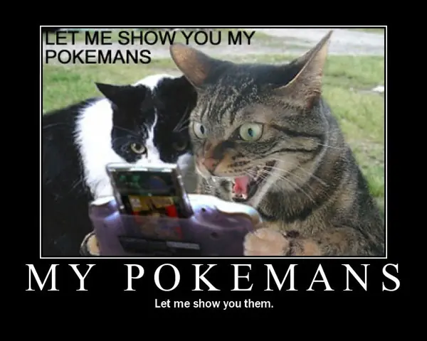 Sabes que es Caturday?