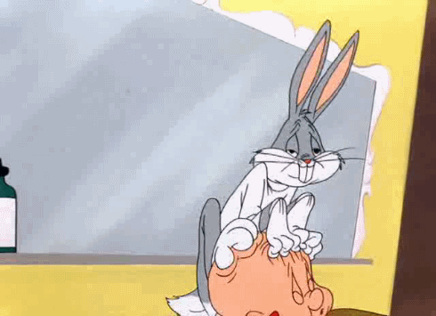 bunny