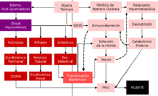 formas