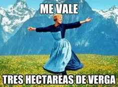 imagenes