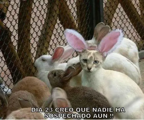 Aprendiendo a amar, aprendiendo a odiar...