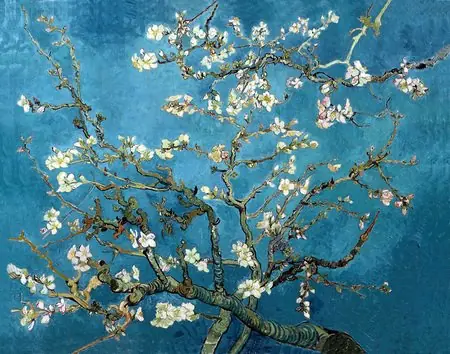 vincent