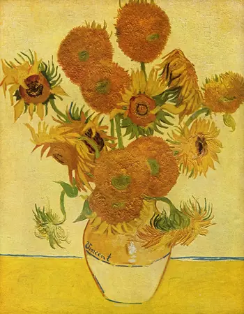 vincent