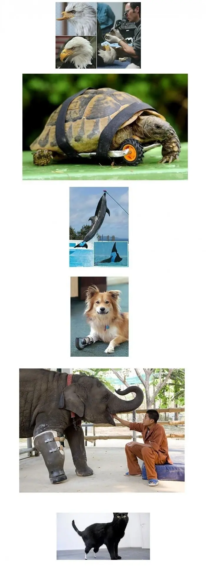 photos