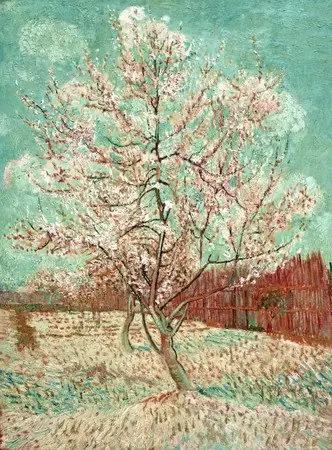 vincent