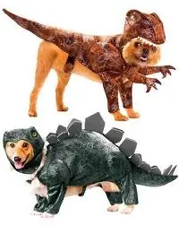 mascotas