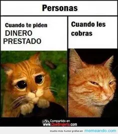 Un post de humor