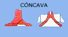 leva