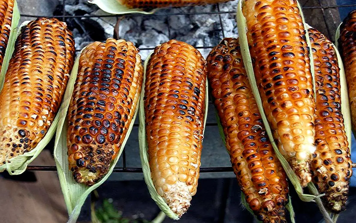Que funcion tienen los pelos del elote??