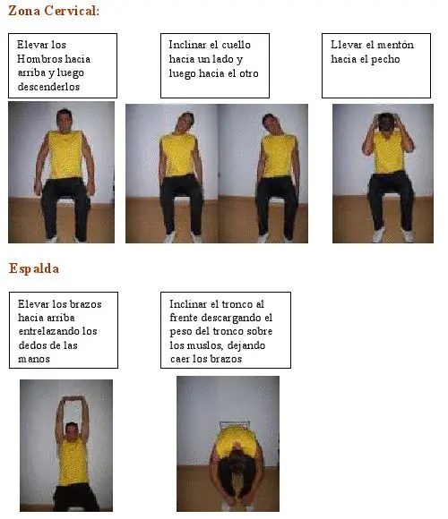 actividad