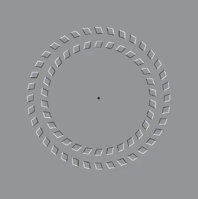 Ilusiones opticas! sorprendentes
