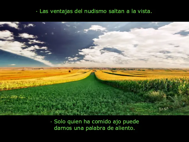 Proverbios con cierto humor (JD)